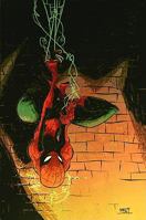 Marvel Adventures Spider-man: Peter Parker Vs. the X-men Digest 0785141162 Book Cover