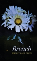 Breach B0BMPR2VC3 Book Cover
