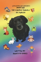 The Curious Travels of Findley: Book One with Quizzes B0FJXFMKFQ Book Cover