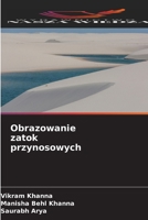 Obrazowanie zatok przynosowych (Polish Edition) 6209559573 Book Cover
