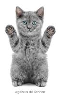 Agenda de Senhas: Agenda Para Endere�os Eletr�nicos E Senhas: Capa Gatinho Brincalh�o - Portugu�s (Brasil) 1542924413 Book Cover