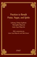 Practices to Benefit Pretas, Nagas and Spirits 1726415058 Book Cover