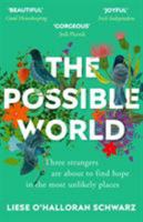 The Possible World 1784757322 Book Cover
