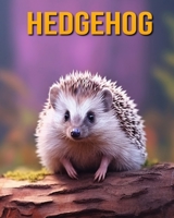 Hedgehog: Fun Facts Book for Kids B0CF4J4FHG Book Cover