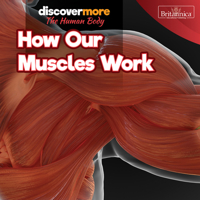 How Our Muscles Work 1641905093 Book Cover