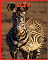 Zebra: Immagini incredibili e fatti sui Zebra B08TQHSD3K Book Cover