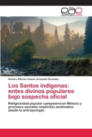 Los Santos indígenas: entes divinos populares bajo sospecha oficial 3659004235 Book Cover