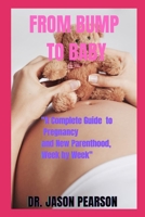 FROM BUMP TO BABY: A Complete Guide to Pregnancy and New Parenthood, Week by Week B0F5HYBFXJ Book Cover