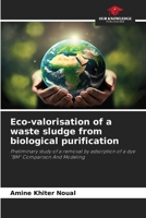 Eco-valorisation of a waste sludge from biological purification: Preliminary study of a removal by adsorption of a dye "BM" Comparison And Modeling 6205893754 Book Cover