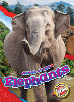 Elephants 164487587X Book Cover