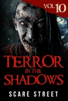 Terror in the Shadows Vol. 10 B08KR5YHFT Book Cover