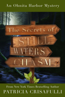 The Secrets of Still Waters Chasm: Book 2 – Ohnita Harbor Mystery Series 1954907648 Book Cover