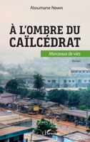 A l'ombre du caïlcédrat. Morceaux de vie: Roman (Harmattan Sénégal) (French Edition) 2343205485 Book Cover
