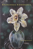 Elementary Luminaries (Makenlief Series) 1733845828 Book Cover
