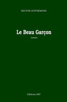 Le Beau Garcon 2955205230 Book Cover