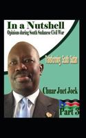 In a Nutshell: Opinions & Articles During South Sudanese Civil War 1790621046 Book Cover