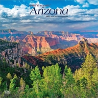 Arizona Wild & Scenic 2027 12 X 24 Inch (Hanging) Monthly Square Wall Calendar Plastic-Free B0GH8ZYWYB Book Cover