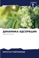 ДИНАМИКА АДСОРБЦИИ 6205732769 Book Cover