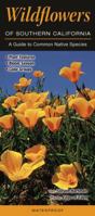 Wildflowers of Southern California: A Guide to Common Native Species 1936913801 Book Cover