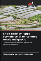 Sfide dello sviluppo economico di un comune rurale malgascio (Italian Edition) 6209553974 Book Cover
