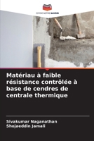 Matériau à faible résistance contrôlée à base de cendres de centrale thermique (French Edition) 663022938X Book Cover
