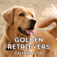 Golden Retrievers: 2021 Wall Calendar, Cute Gift Idea For Golden Retriever Lovers Or Owners Men And Women B08QWX6DZJ Book Cover