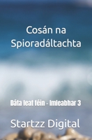 Cosán na Spioradáltachta: Dáta leat féin - Imleabhar 3 B0C6C6YDH7 Book Cover