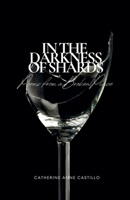 In the Darkness of Shards: Poems from a Broken Place B0DRDT83YW Book Cover