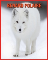 Renard Polaire: D�couvrez les Renard Polaire et Admirez des Images Color�es B08WJPN279 Book Cover