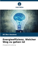 Energieeffizienz, Welcher Weg zu gehen ist 6204447432 Book Cover