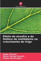 Efeito do enxofre e do fósforo de molibdénio no crescimento do trigo 6205777452 Book Cover