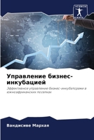 Управление бизнес-инкуб& 620726147X Book Cover