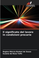 Il significato del lavoro in condizioni precarie (Italian Edition) 6207713192 Book Cover