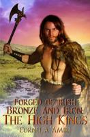 Forged of Irish Bronze and Iron: The High Kings 1095954458 Book Cover