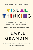 Visual Thinking: The Hidden Gifts of People Who Think in Pictures, Patterns, and Abstractions 0593418379 Book Cover