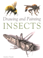 Drawing and Painting Insects 1847974899 Book Cover