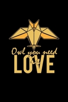 Owl you need is love: 6x9 Origami lined ruled paper notebook notes 1709947152 Book Cover