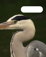 Birds 1714241742 Book Cover