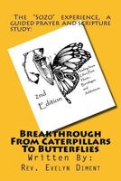 Breakthrough From Caterpillars to Butterflies: : Healing from past Hurts, Bondages and Addictions 1523450231 Book Cover