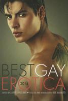 Best Gay Erotica 2014 1627780017 Book Cover