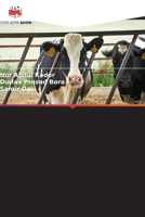 Épidémiologie de la leptospirose bovine (French Edition) 6209049826 Book Cover