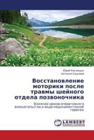 Vosstanovlenie Motoriki Posle Travmy Sheynogo Otdela Pozvonochnika 384435221X Book Cover