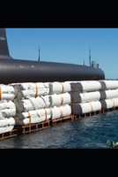 Submerged in Greed B0C91RMFFX Book Cover