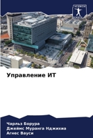 Управление ИТ 6206420264 Book Cover