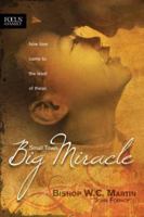 Small Town, Big Miracle: How Love Came to the Least of These 1589974433 Book Cover