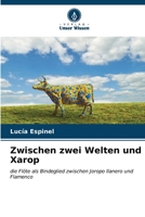 Zwischen zwei Welten und Xarop (German Edition) 620714676X Book Cover