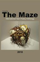 Navigating the Maze 0981975097 Book Cover