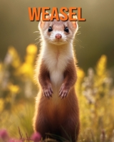 Weasel: Fun Facts Book for Kids with Amazing Photos B0C6PD4P15 Book Cover