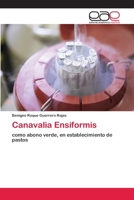 Canavalia Ensiformis 6202247142 Book Cover