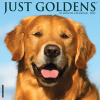 Just Goldens 2025 12 X 12 Wall Calendar 1549243136 Book Cover